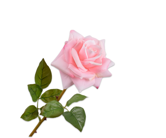 Rose Real Touch 63cm