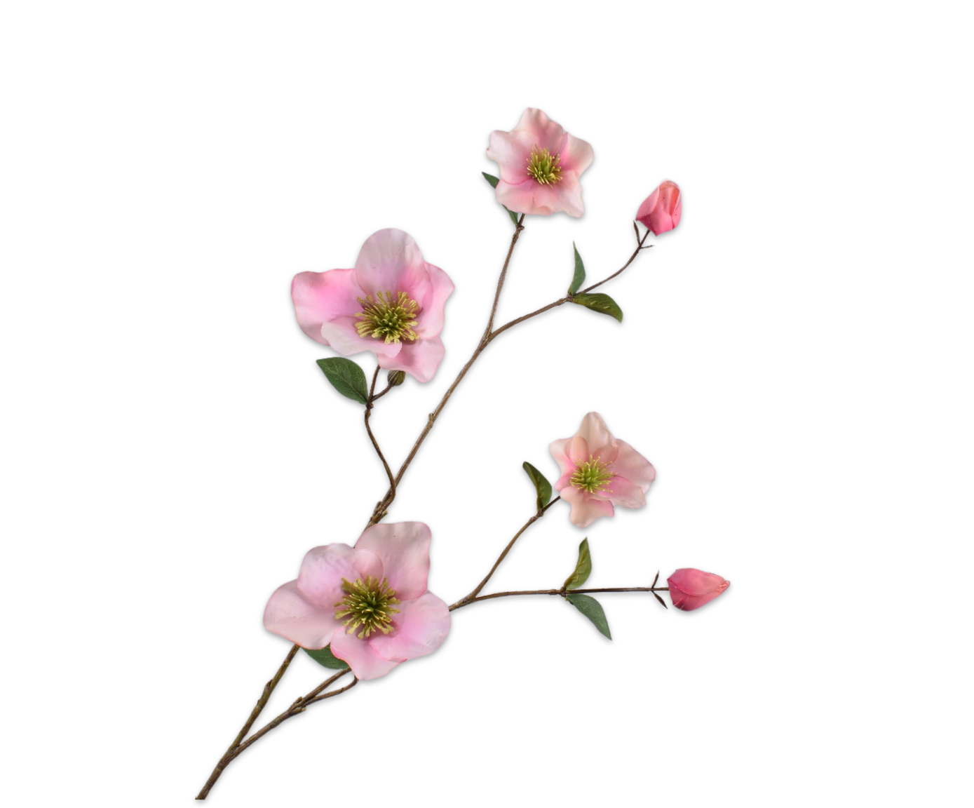 Helleborus Real Touch 94cm