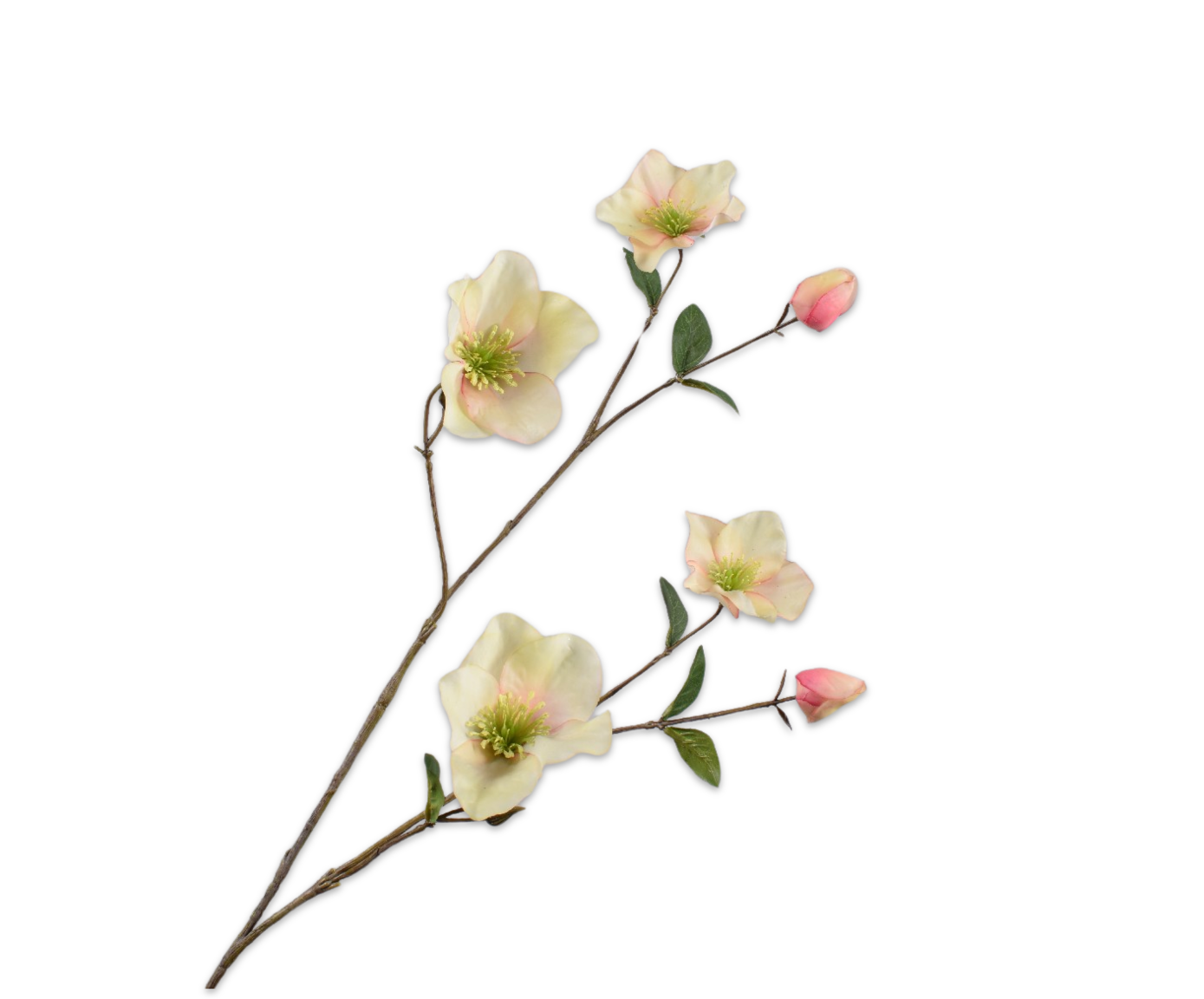 Helleborus Real Touch 94cm
