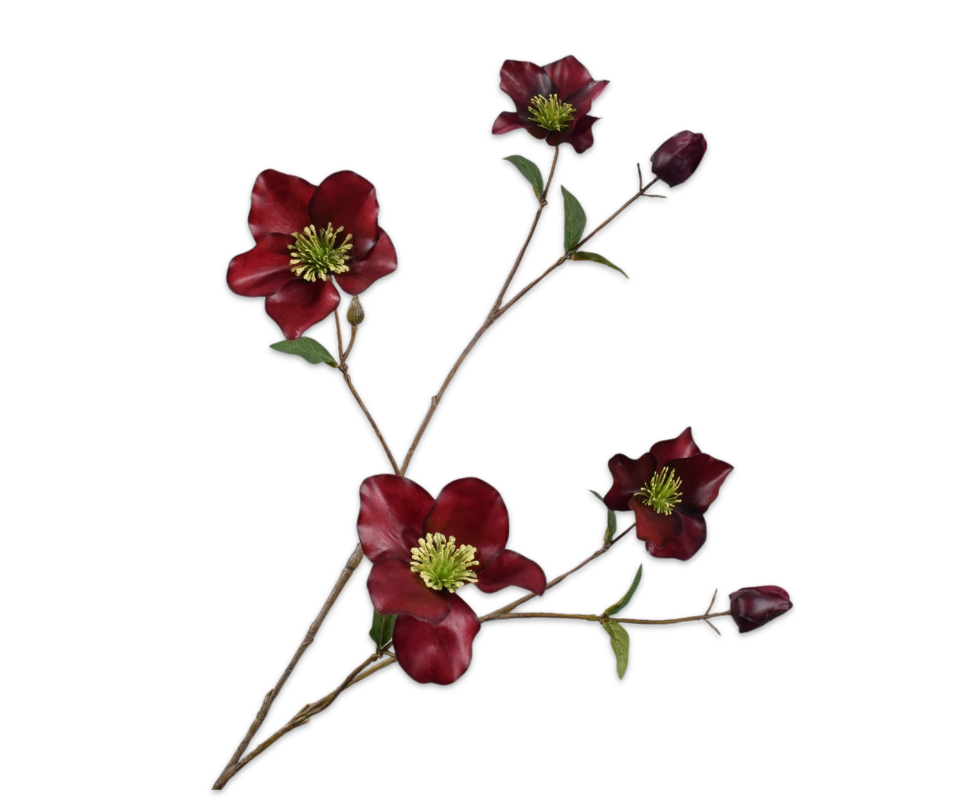 Helleborus Real Touch 94cm