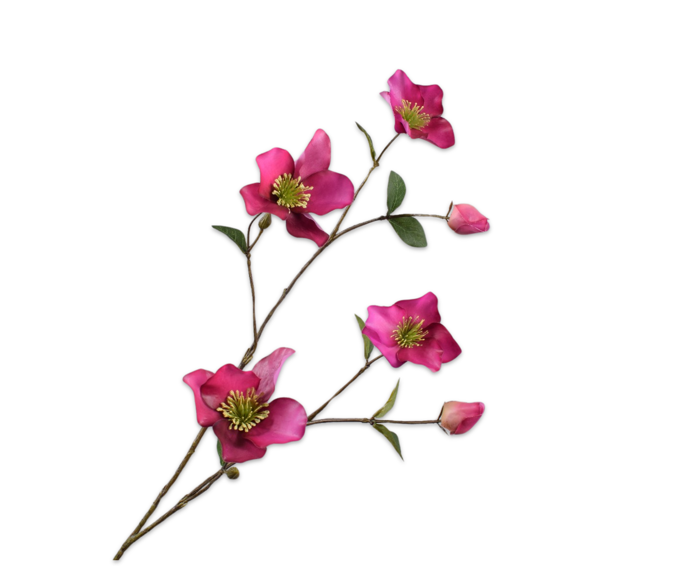 Helleborus Real Touch 94cm