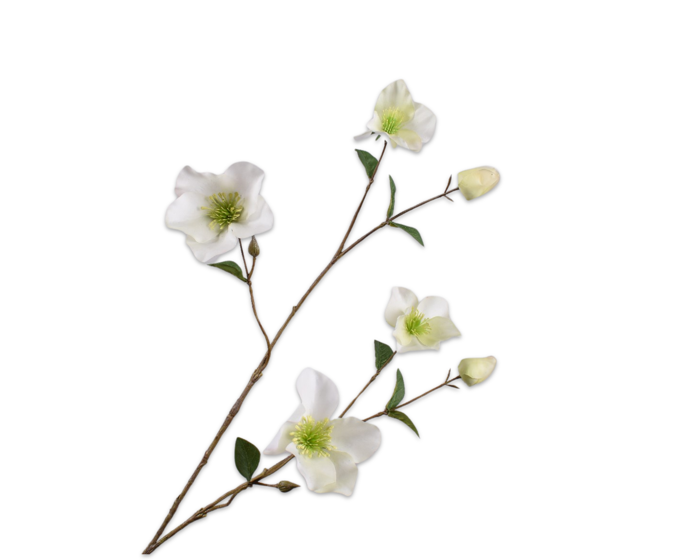 Helleborus Real Touch 94cm