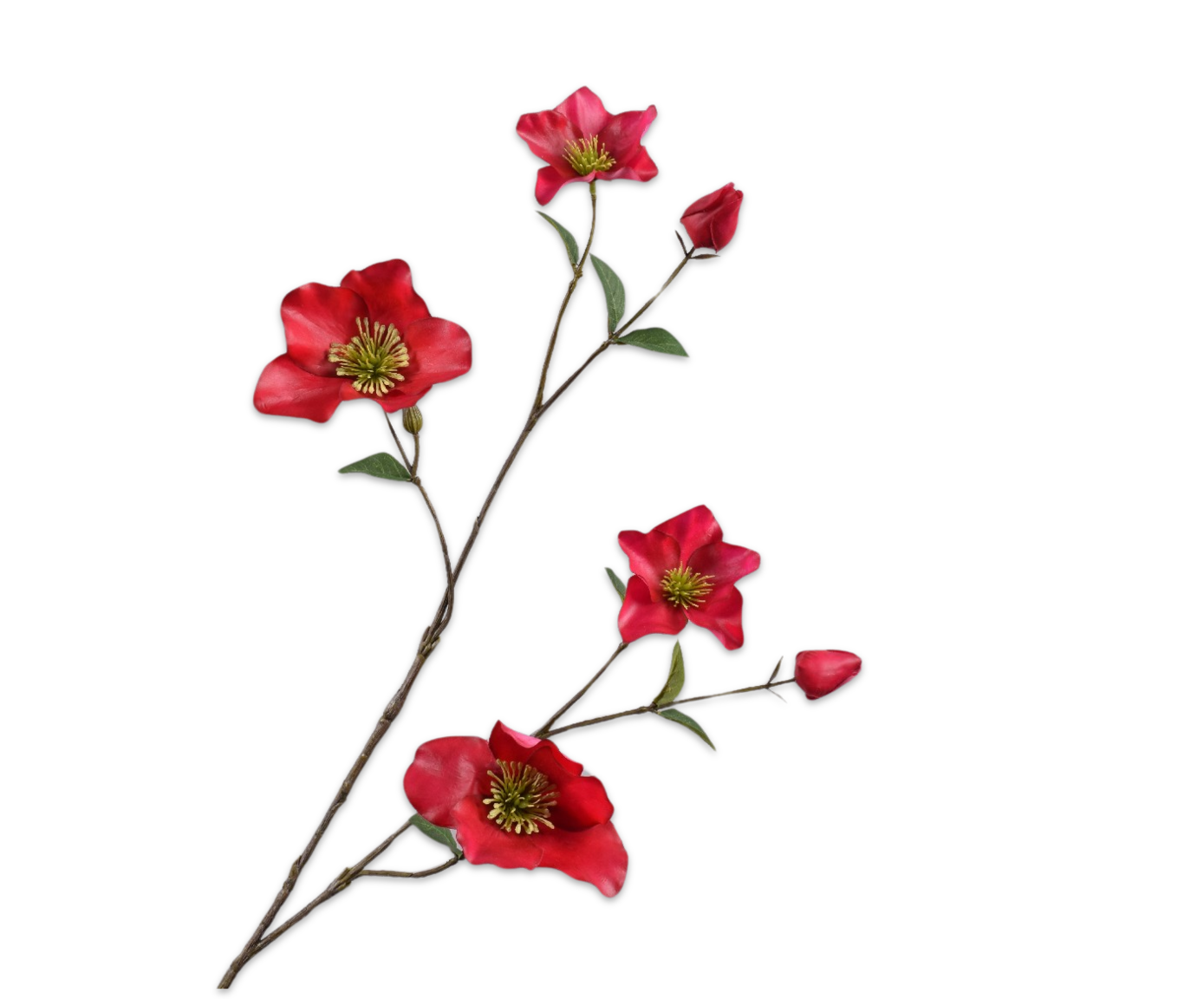 Helleborus Real Touch 94cm
