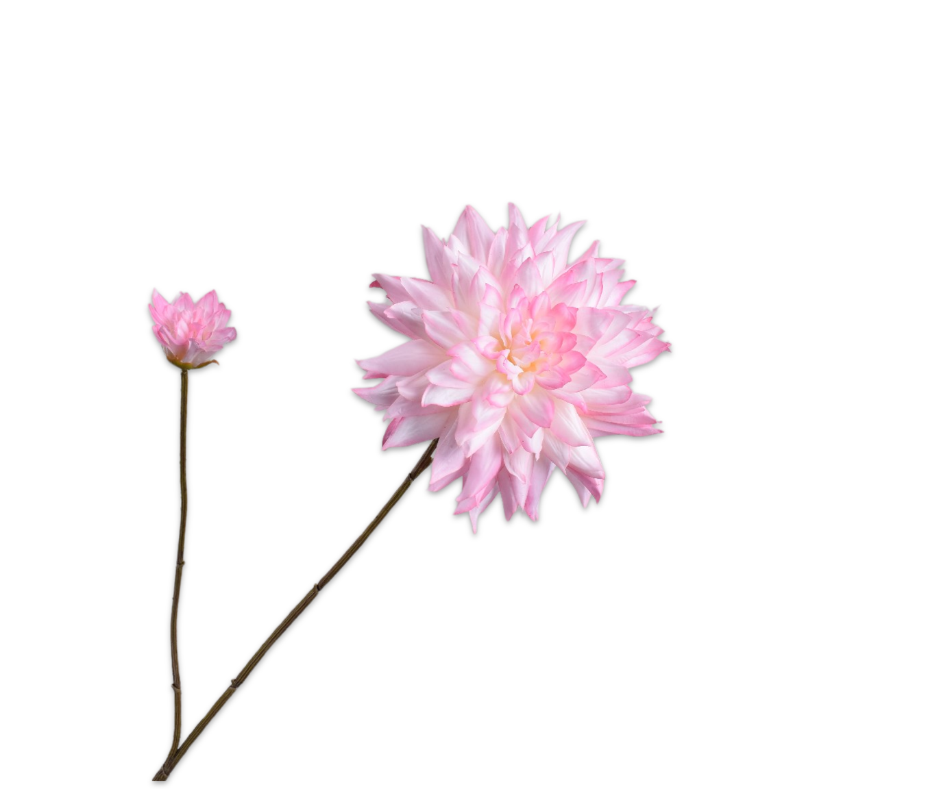 Dahlia Real Touch 102cm
