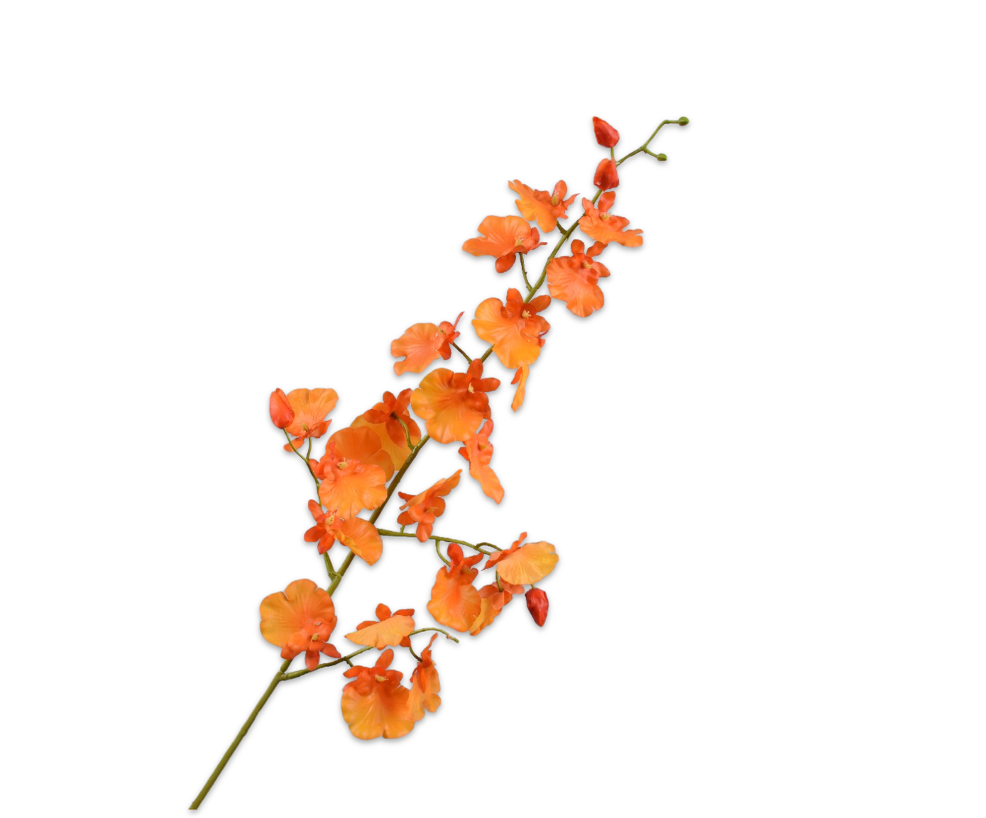 Oncidium Real Touch 70cm