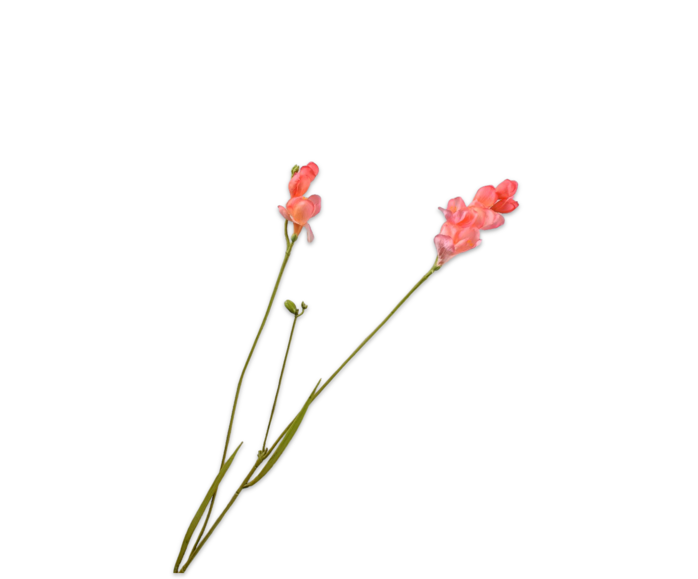 Freesia Real Touch 78cm