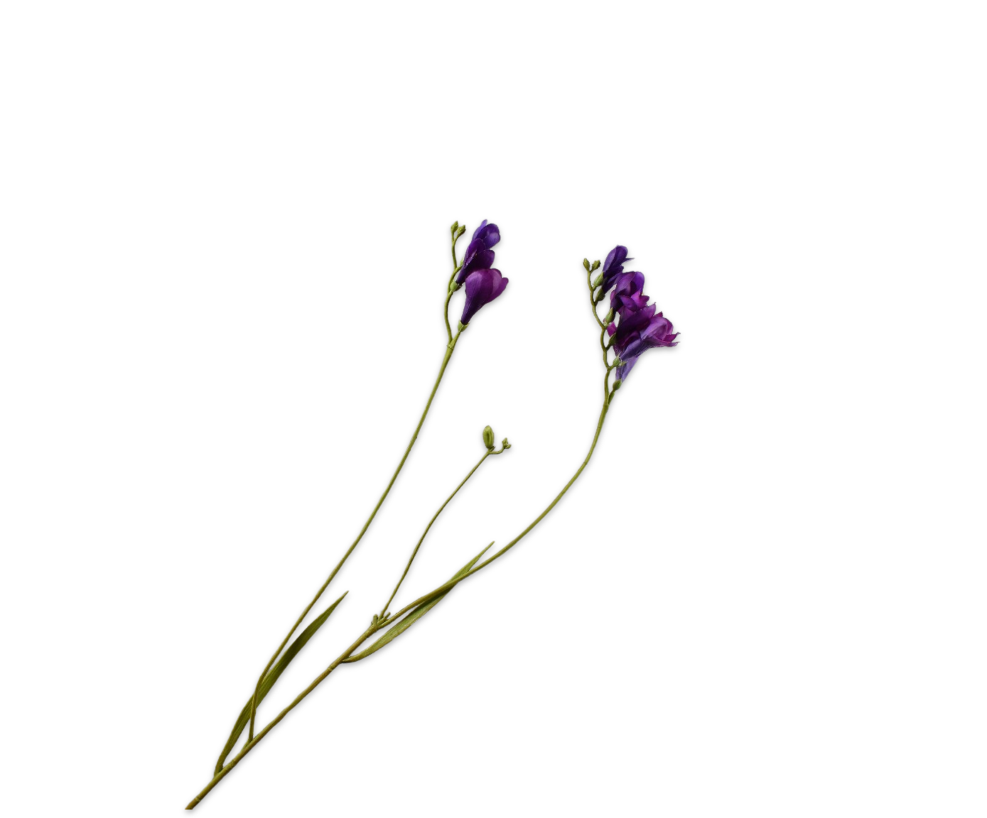 Freesia Real Touch 78cm