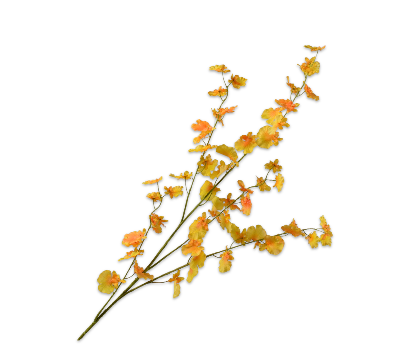 Oncidium Real Touch 114cm