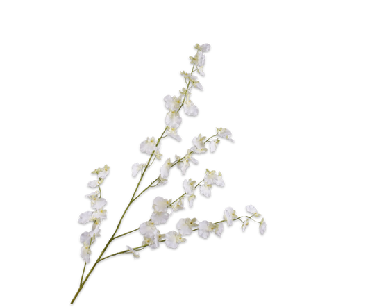Oncidium Real Touch 114cm