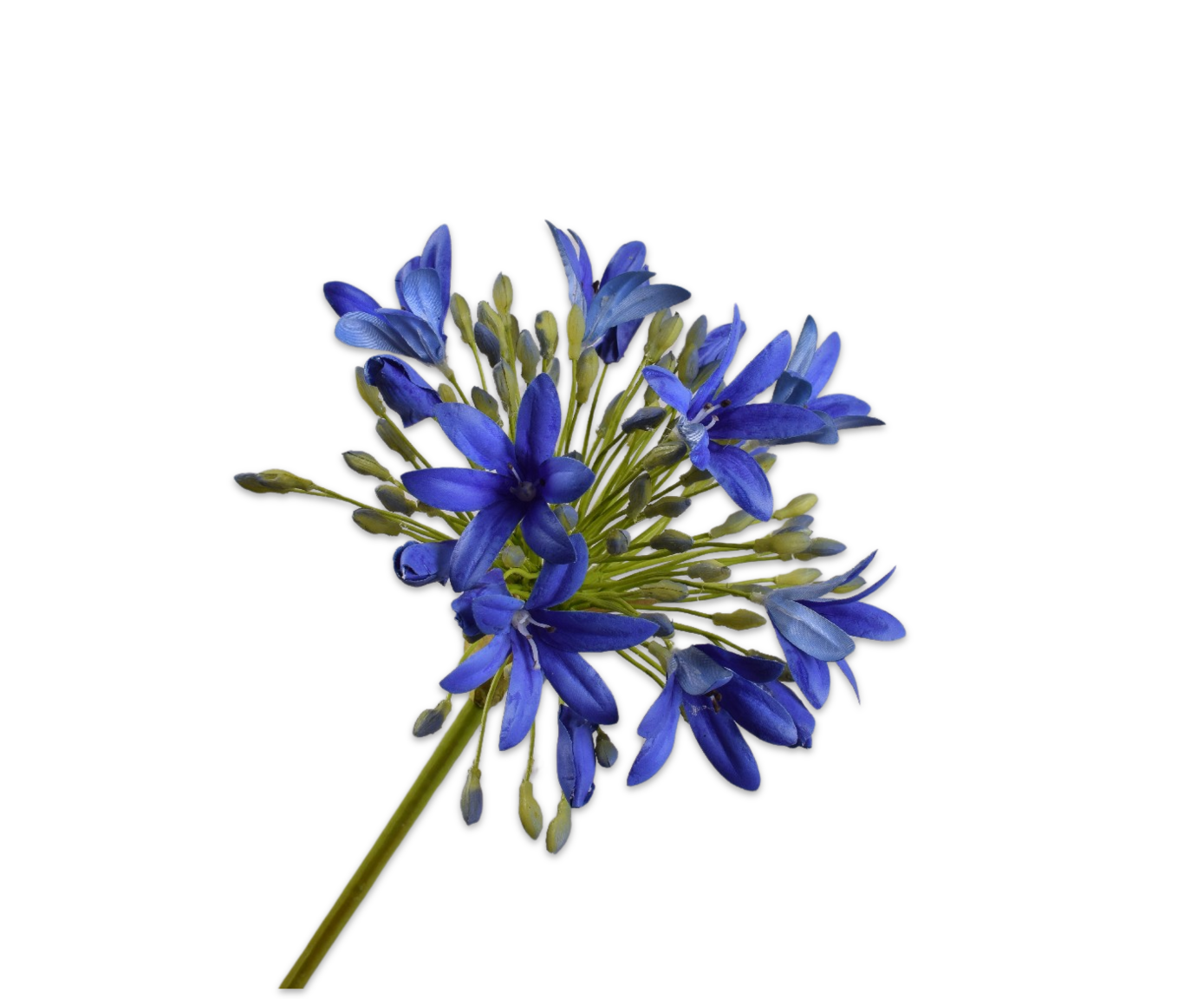 Agapanthus Real Touch 92cm