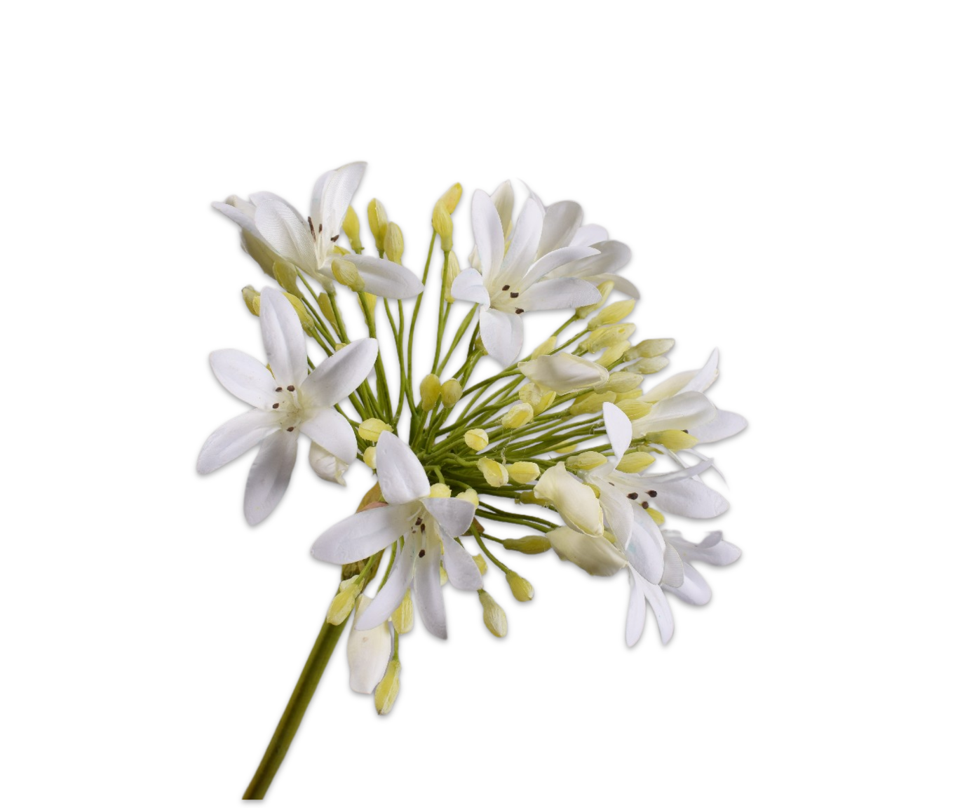 Agapanthus Real Touch 92cm