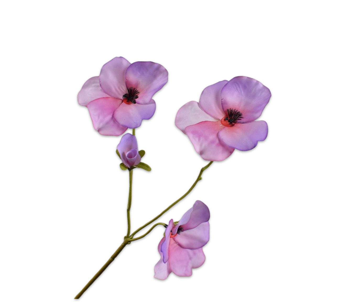 Pansy RT 63cm
