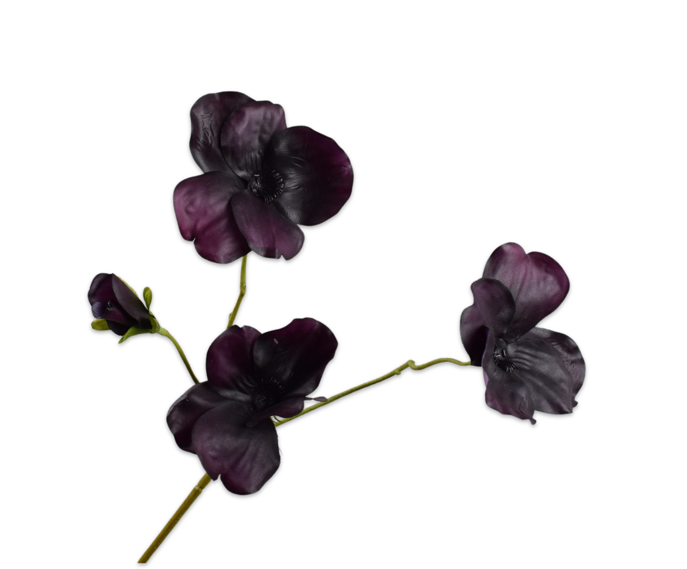 Pansy RT 63cm