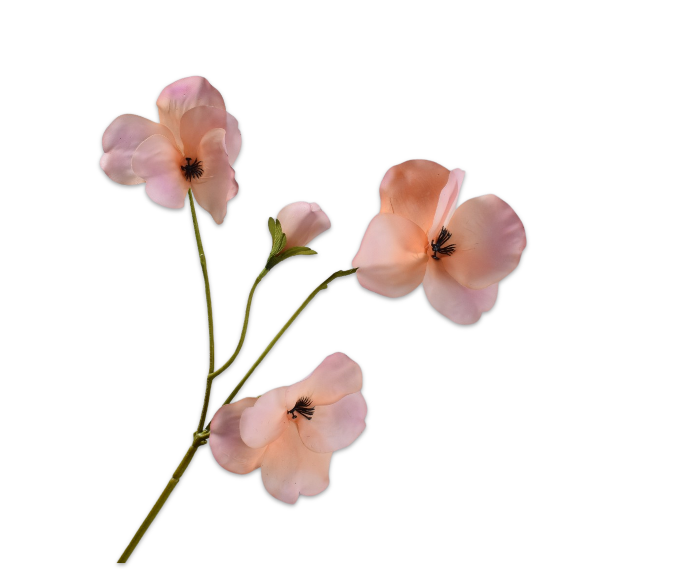 Pansy RT 63cm