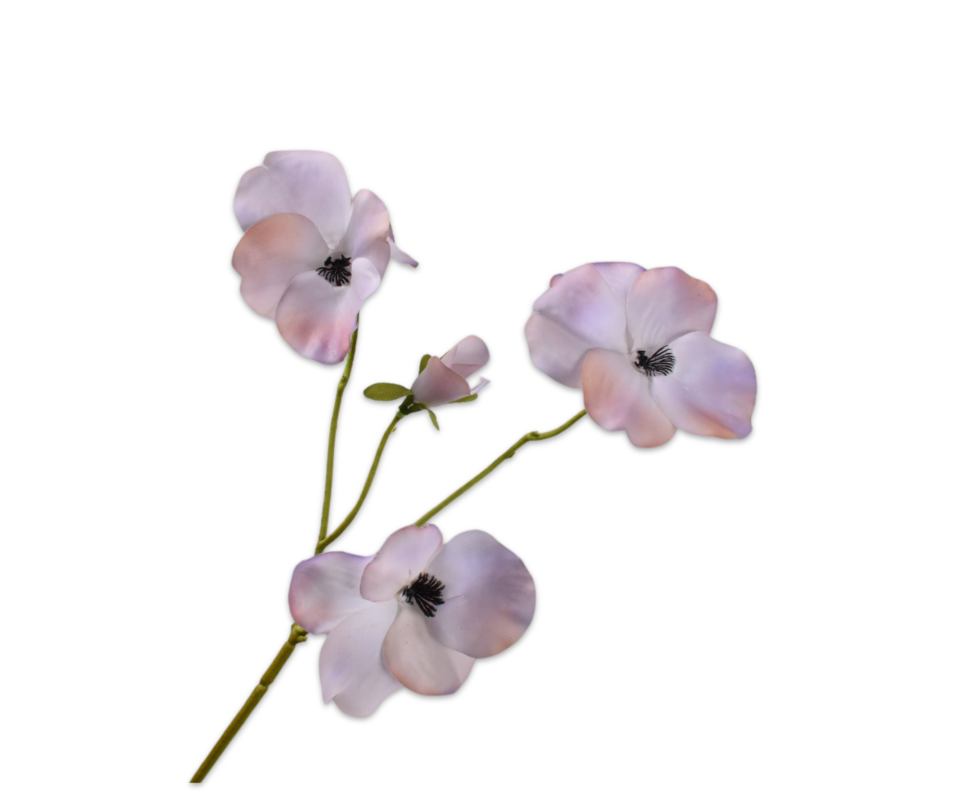 Pansy RT 63cm