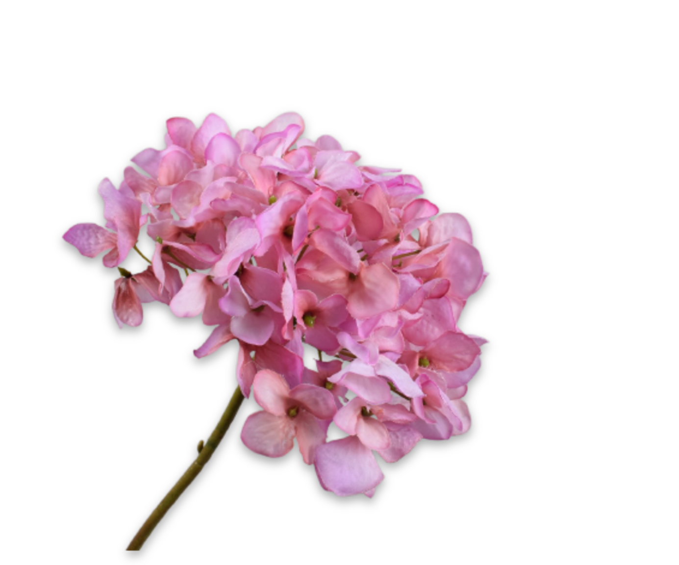 Hortensia Real Touch 63cm