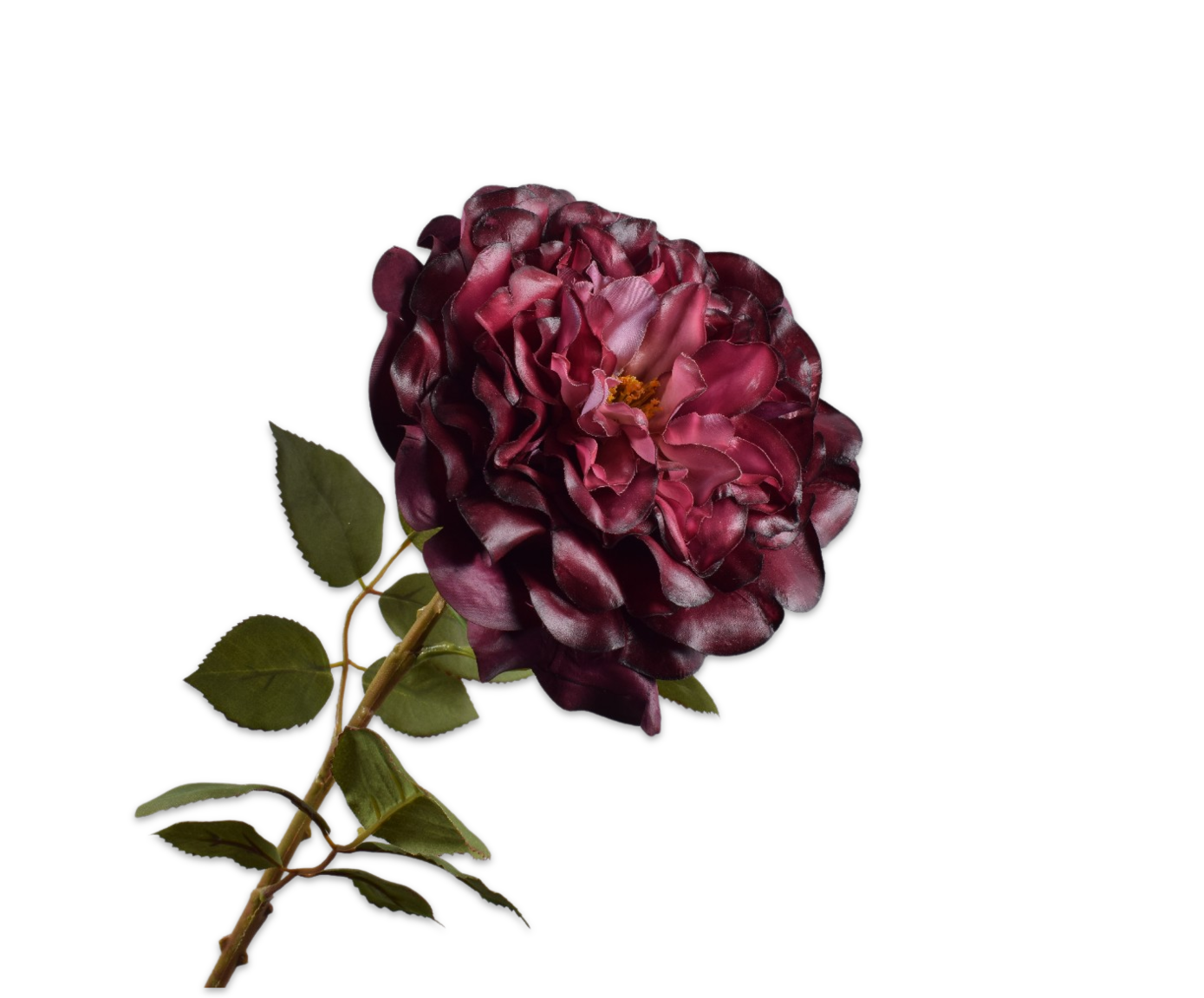 Rose Real Touch 70cm