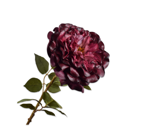 Rose Real Touch 70cm