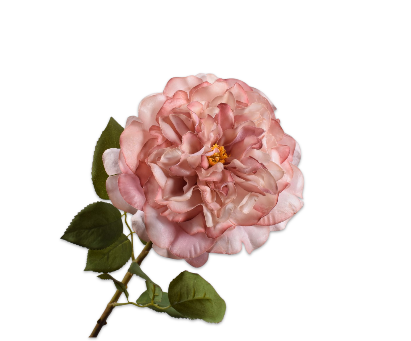 Rose Real Touch 70cm