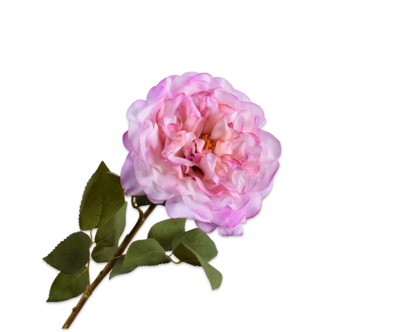 Rose Real Touch 70cm