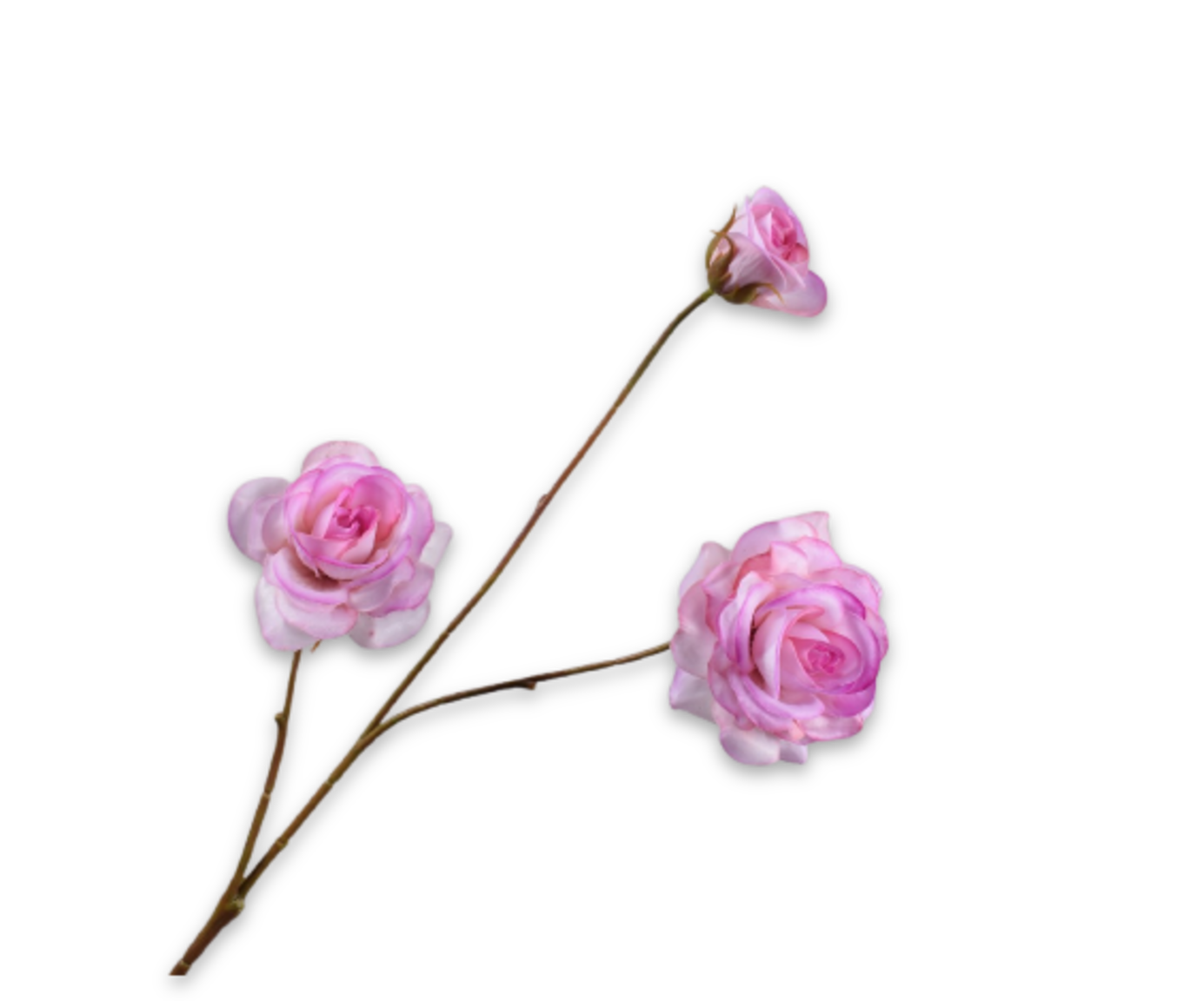 Rose Spray RT 67cm